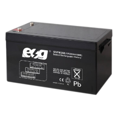 Ắc quy ESG 12V-250AH