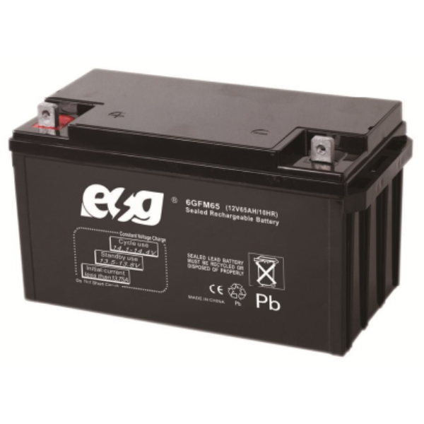 Ắc quy ESG 12V-65AH