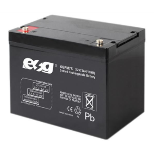 Ắc quy ESG 12V-75AH